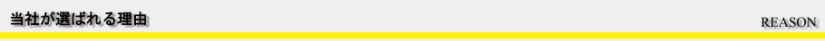 当社が選ばれる理由/></p>
                <div class=